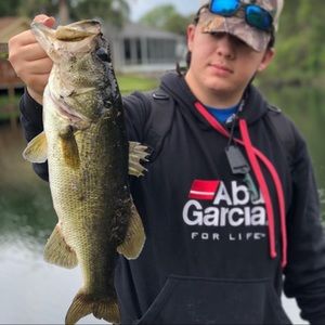 Meet your Posher, Bishop